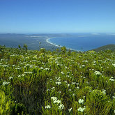 Hiking in the Overberg
